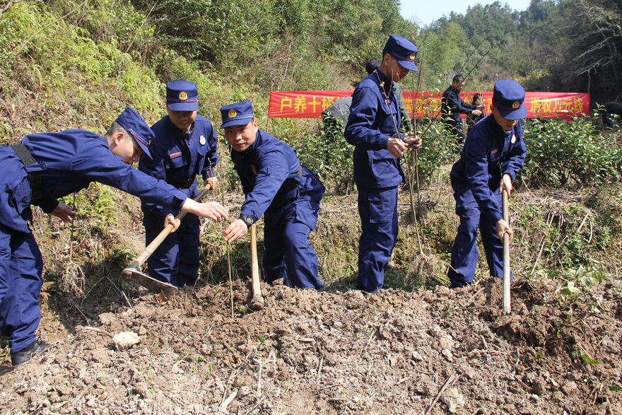 浙江开化消防38年植树为驻地添绿