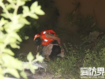 泉州消防放软梯紧急施救