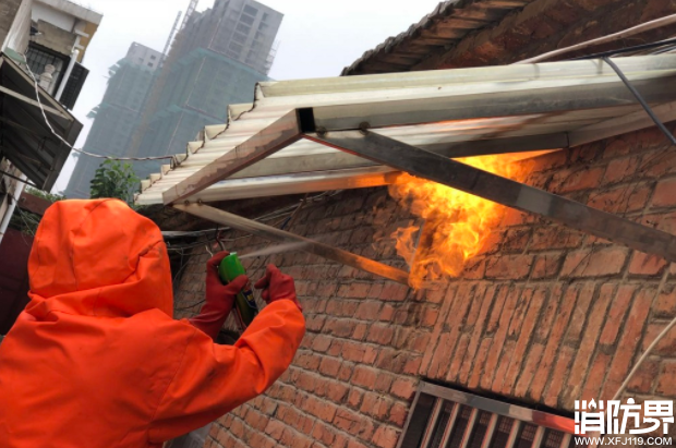 马蜂住进家属院 消防火攻处置