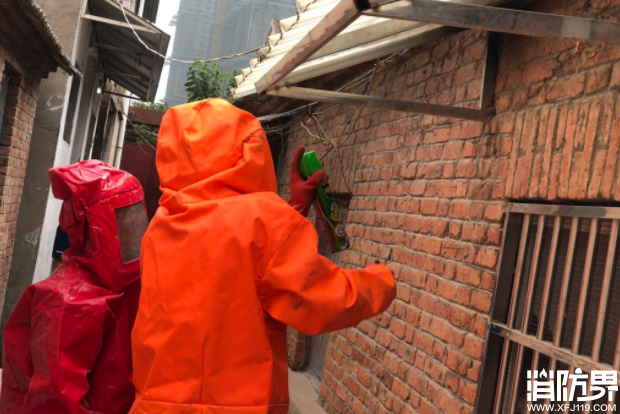 马蜂住进家属院 消防火攻处置
