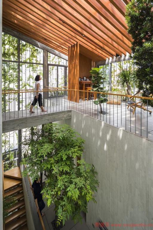 延续公园的住宅---VTN Architects