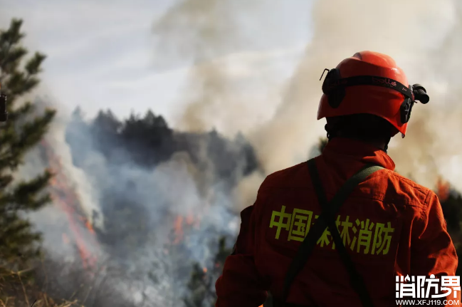 他们永远是火海中逆行的那一个
