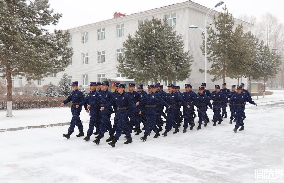 他们是冰天雪地里最动人的风景