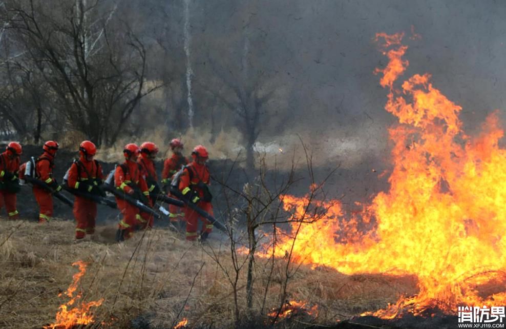 拉动演练|黑河市森林消防支队全面检验打赢能力
