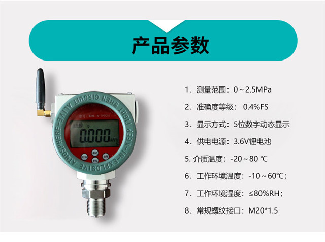 防爆型无线远传报警数显压力计（EX）