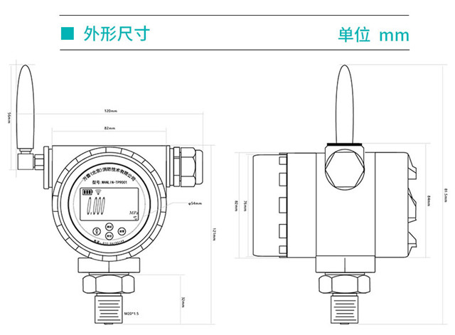 防爆型无线远传报警数显压力计（EX）