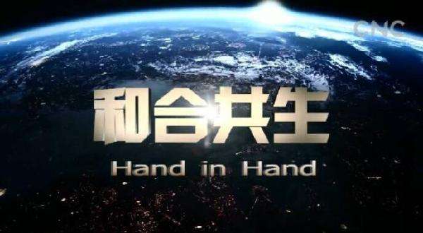 撸袖奋楫